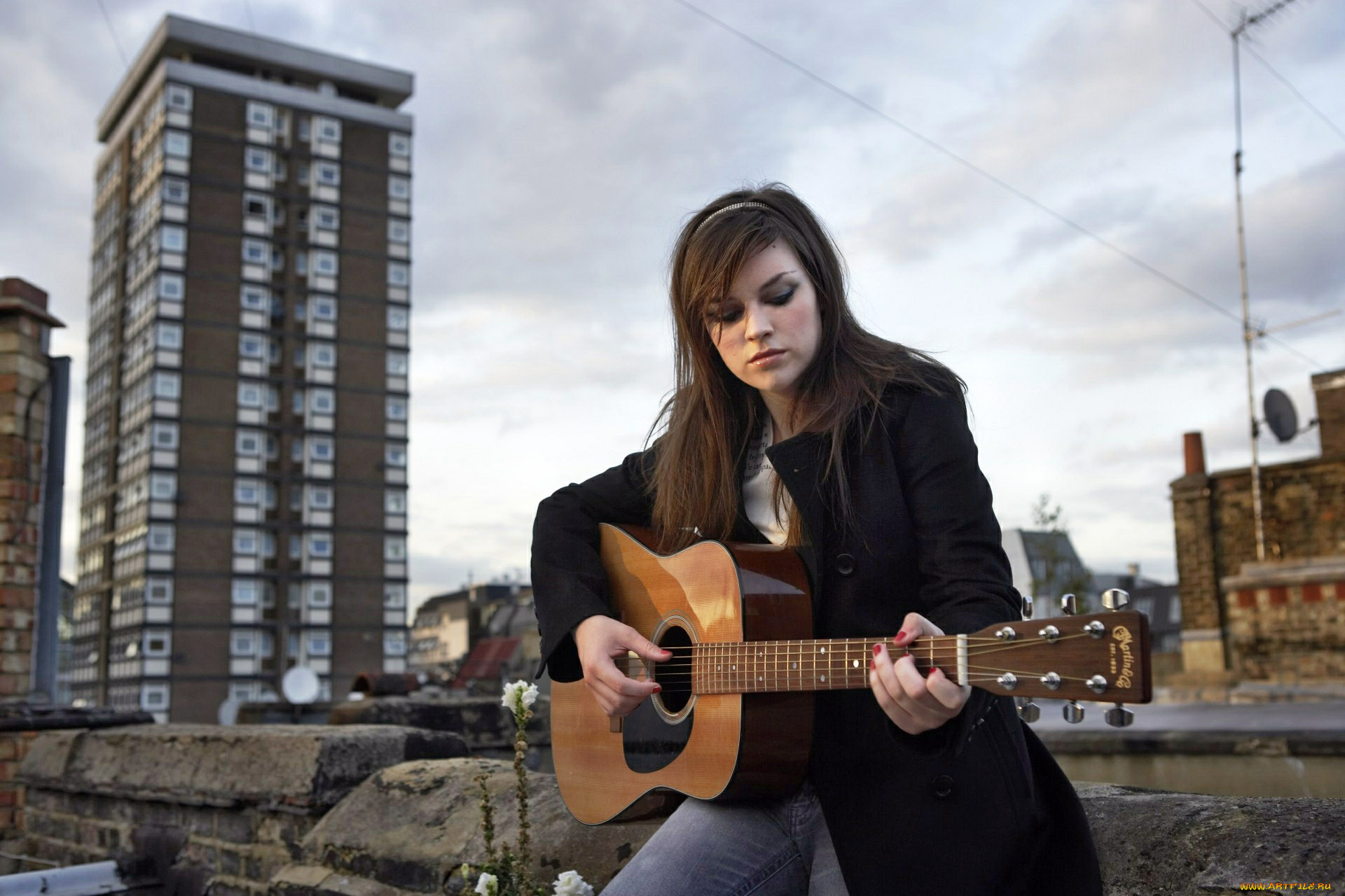 amy, macdonald, , , -, , -, , , 